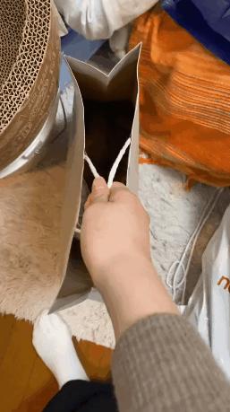 李英爱学腹语,2015韩国小姐李英爱腹语视频