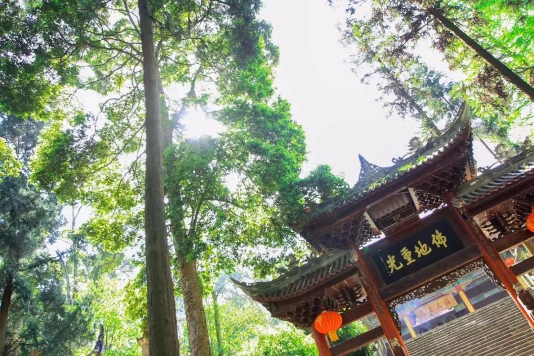 青城山熊猫谷都江堰一日游攻略,熊猫谷青城山都江堰一日游攻略