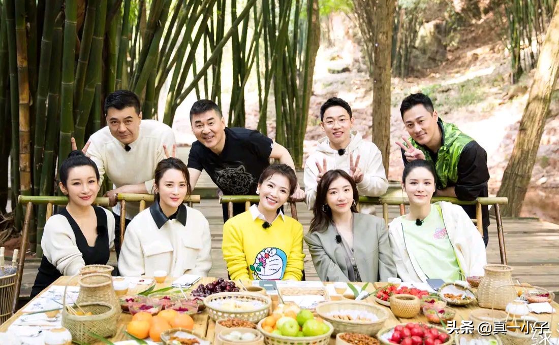 刘涛类型的女明星,刘涛堪称娱乐圈最成功女艺人