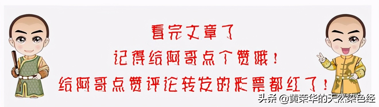 植物染料云染花瓣缬荣华绿雪纺丝巾