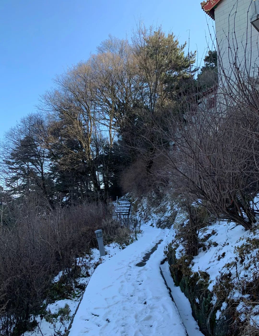 华山雪后景色美爆了,华山雪景真是太美了超级震撼