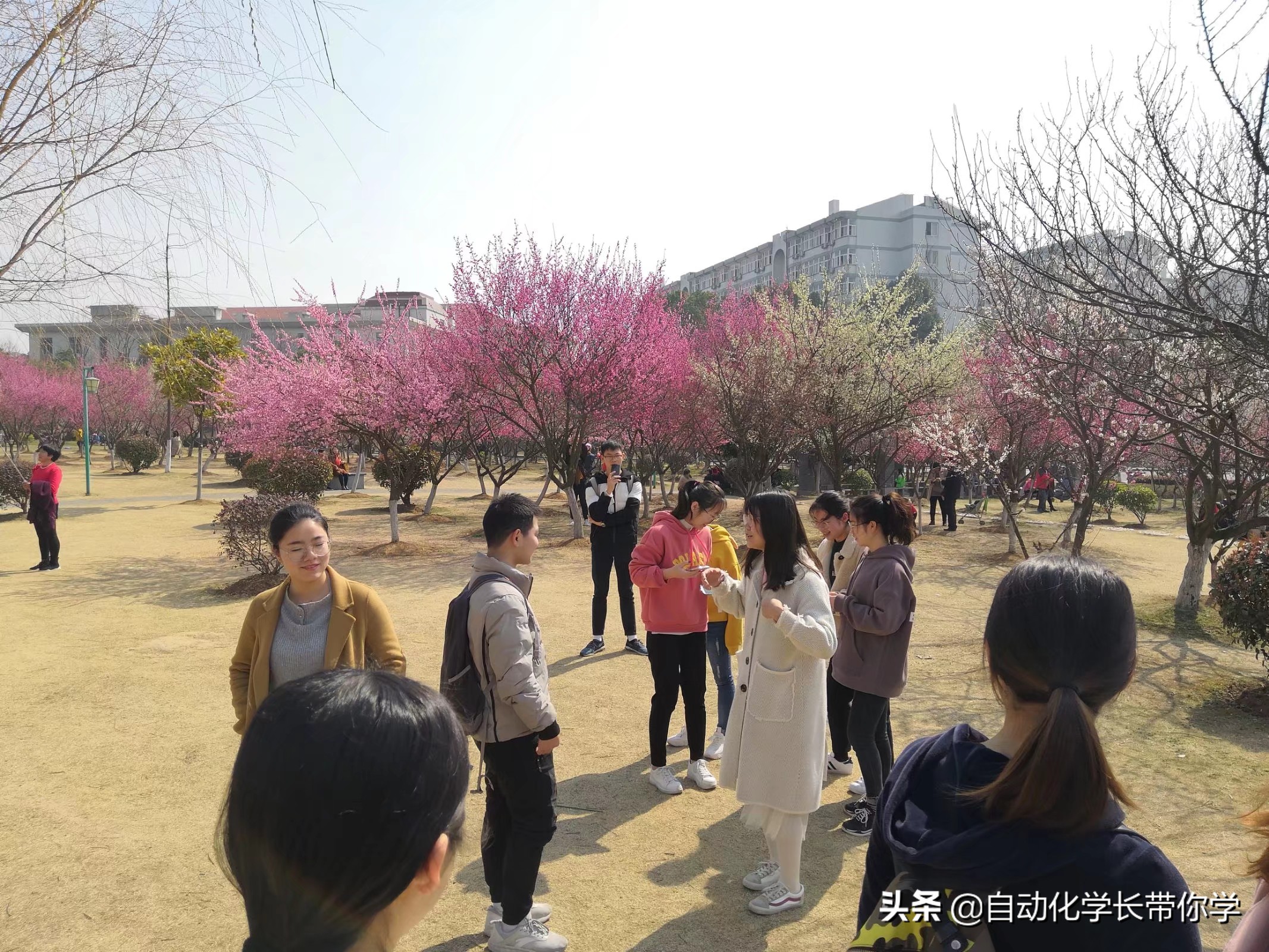 自动化具体是什么专业学的,自动化专业与工业自动化区别