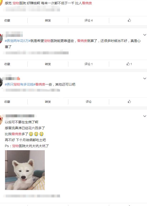 宠物医疗费为什么比人都贵,宠物看病那么贵要买保险吗