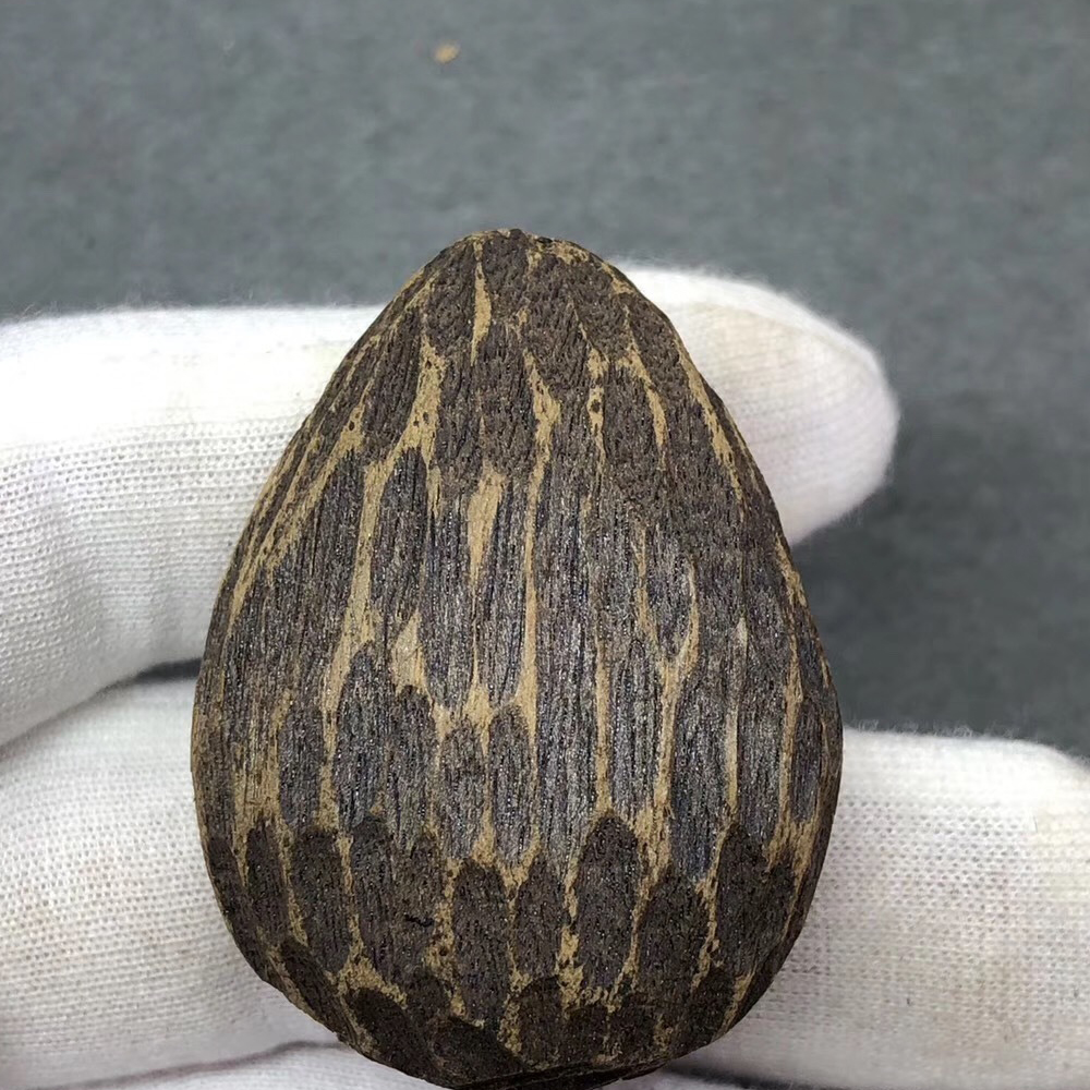 沉香中的极品奇楠图片,今日极品奇楠沉香价格