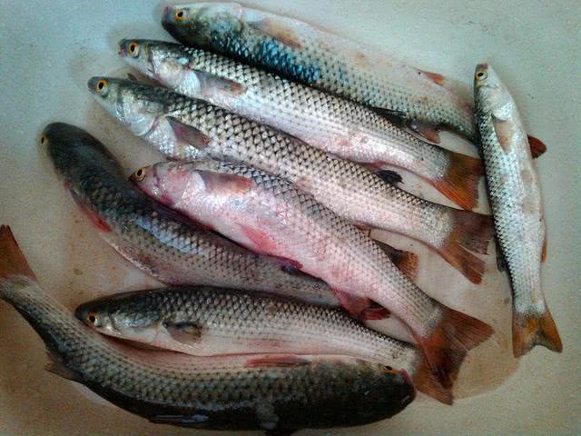 汽水钓海鱼视频,深水岸钓海鱼