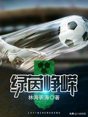 20本好看的足球小说推荐一下,十部必看经典足球小说