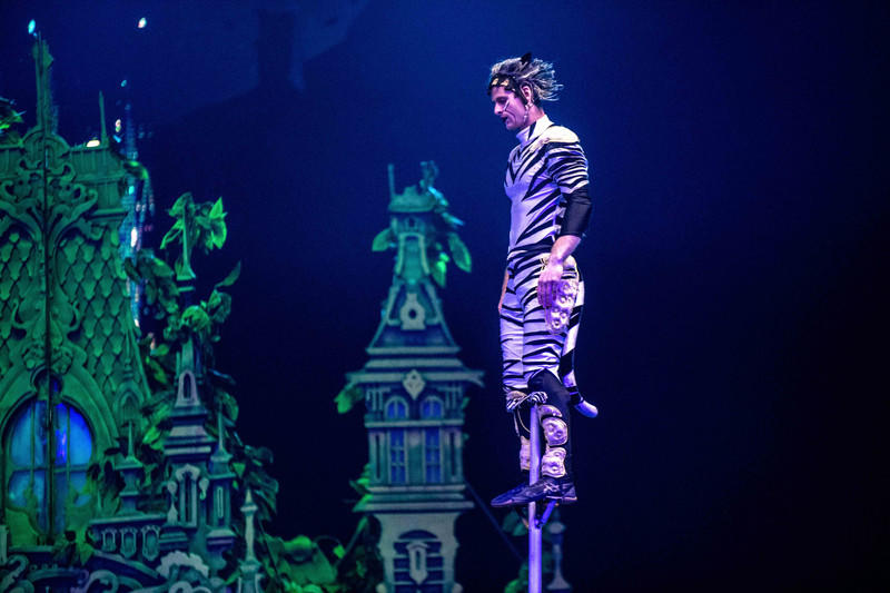 玩转广州长隆野生动物世界之行,广州长隆动物世界游玩攻略图