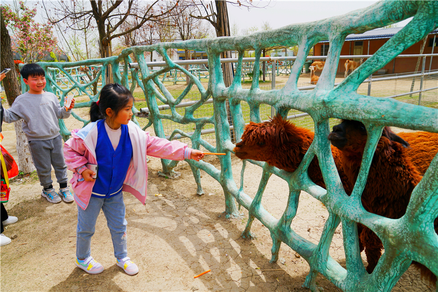 我和宿州有个约会，一场花事，一次慢旅行，探寻最烟火的宿州味道