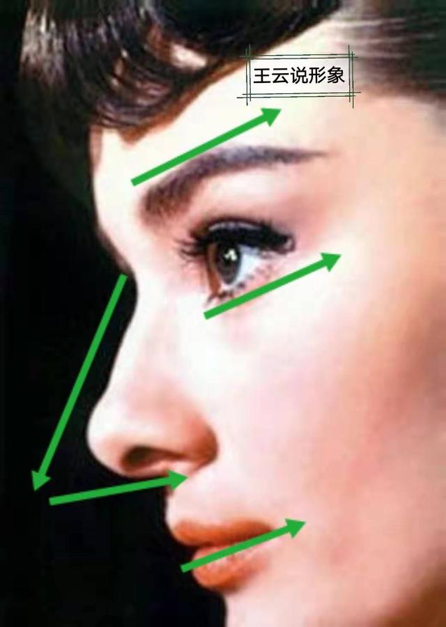 服装印花图案的流行趋势,面料单色印花图案大全