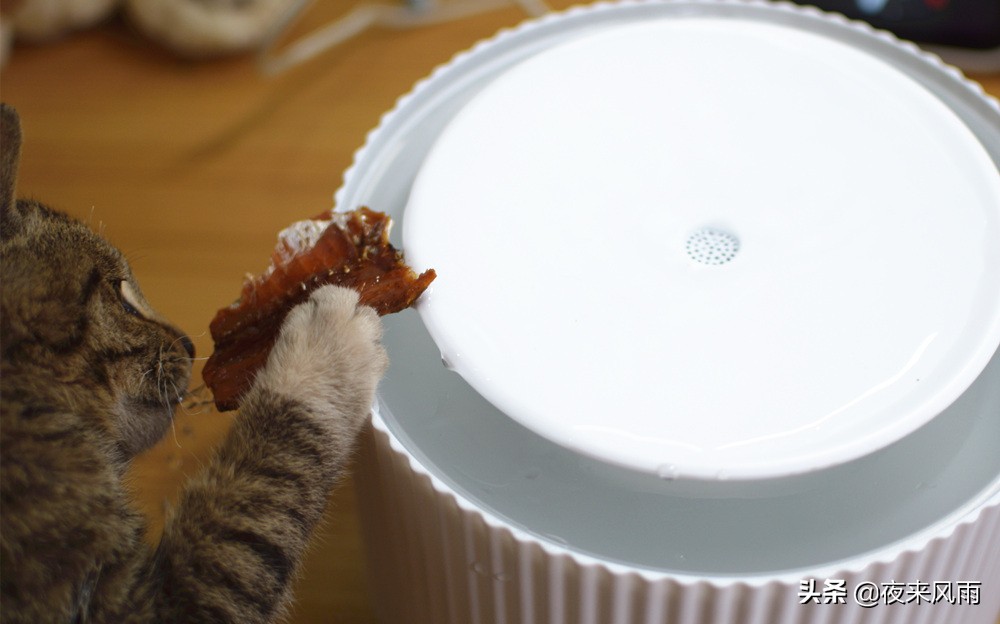 小米智能猫咪饮水机,小米猫咪恒温加热饮水机