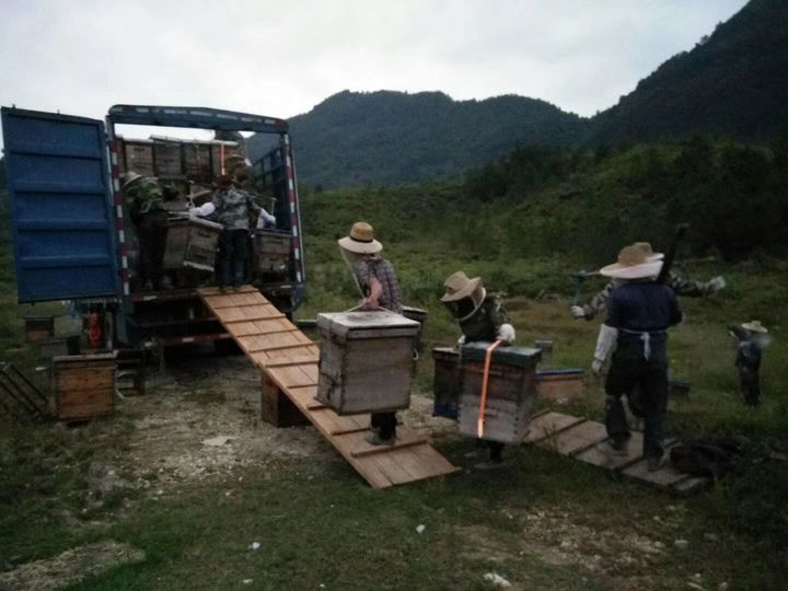 几十块钱买两斤蜂蜜靠谱吗？