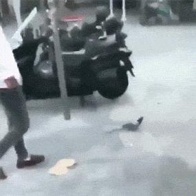 身家过亿进此吧，半月之后睡街头