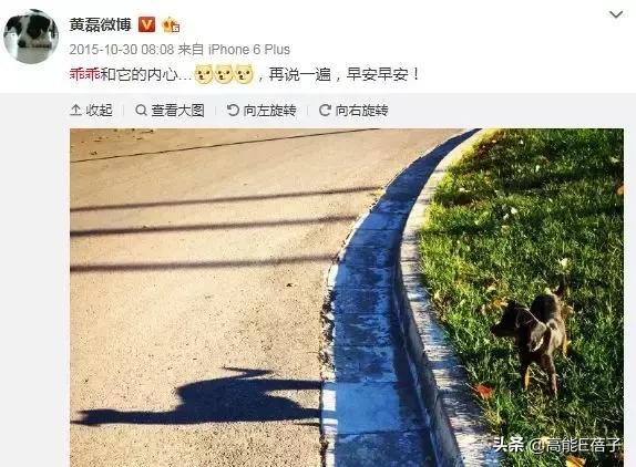 复仇方式电影,最狠的复仇方式电影