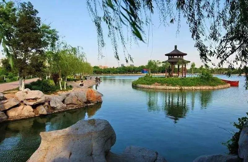 天津西青郊野公园开放最新通知,天津临港亲海公园什么时候开放