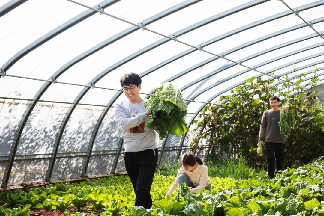 怀柔适合冬天团建的地方,怀柔两日一晚团建的地方