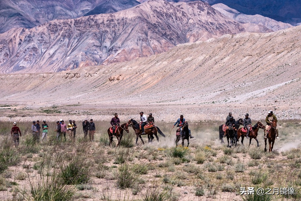 铁血雄鹰全剧,铁血雄鹰全文阅读