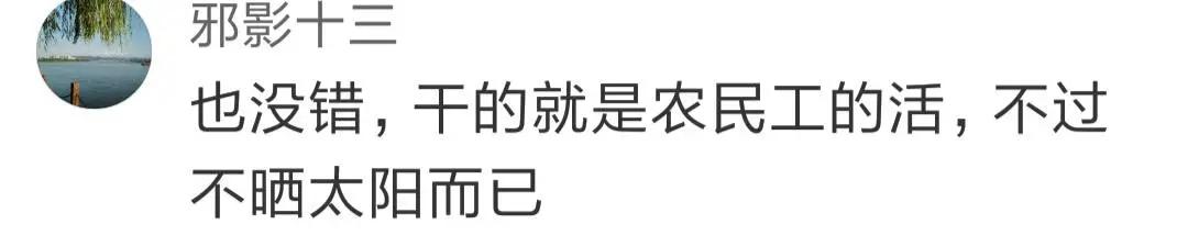 程序员新生代农民工,程序员被定义为新时代的农民工