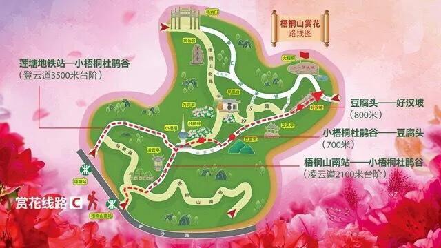 深圳花海公园地址在哪里,深圳中心河公园花海