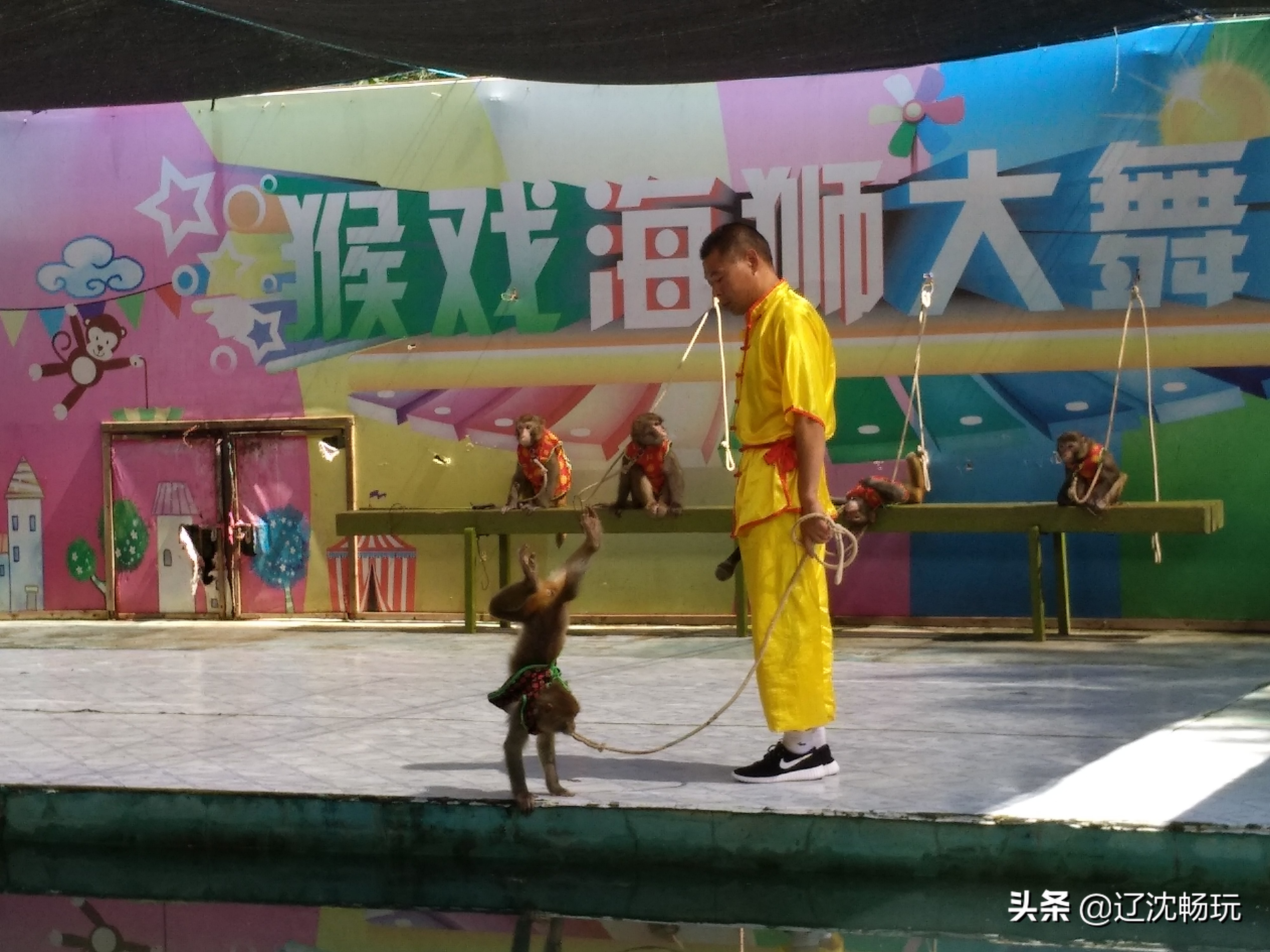 沈阳旅行推荐夏季景点攻略,沈阳冬日周边一日游旅游景点推荐