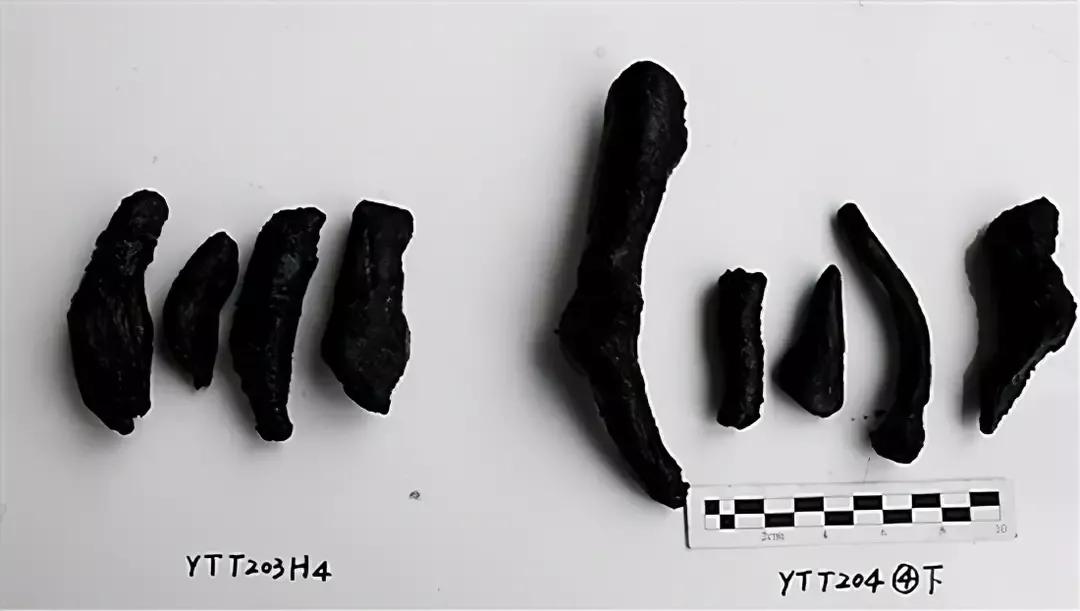 潮州凤凰茶销量,潮州凤凰茶单丛茶批发