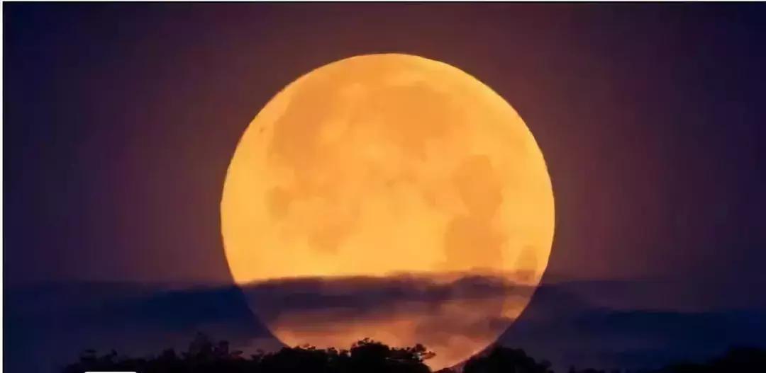 岑参边塞诗和古丝绸之路,岑参是唐朝著名的边塞诗人