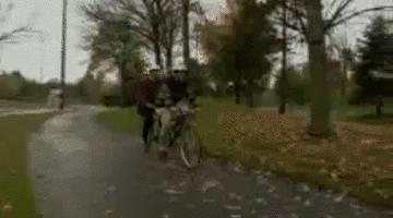 快船老板鲍尔默喜欢詹姆斯吗,快船队老板鲍尔默世界排名