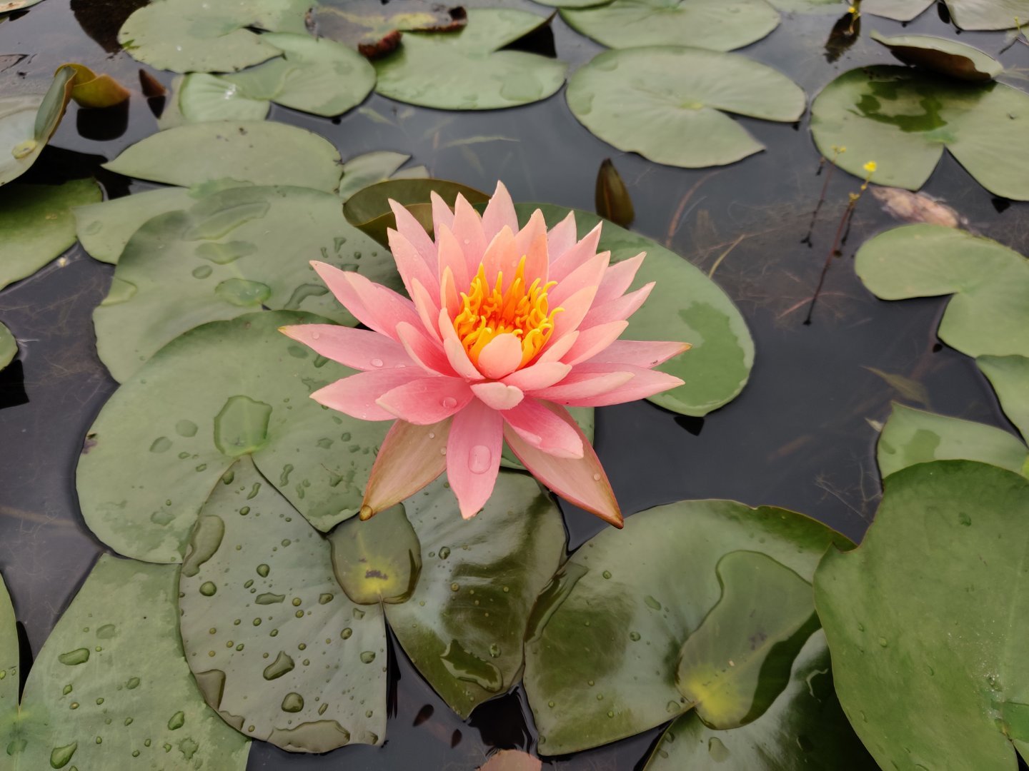 自媒体新手感想感悟简短,自媒体亲身经历感悟作文