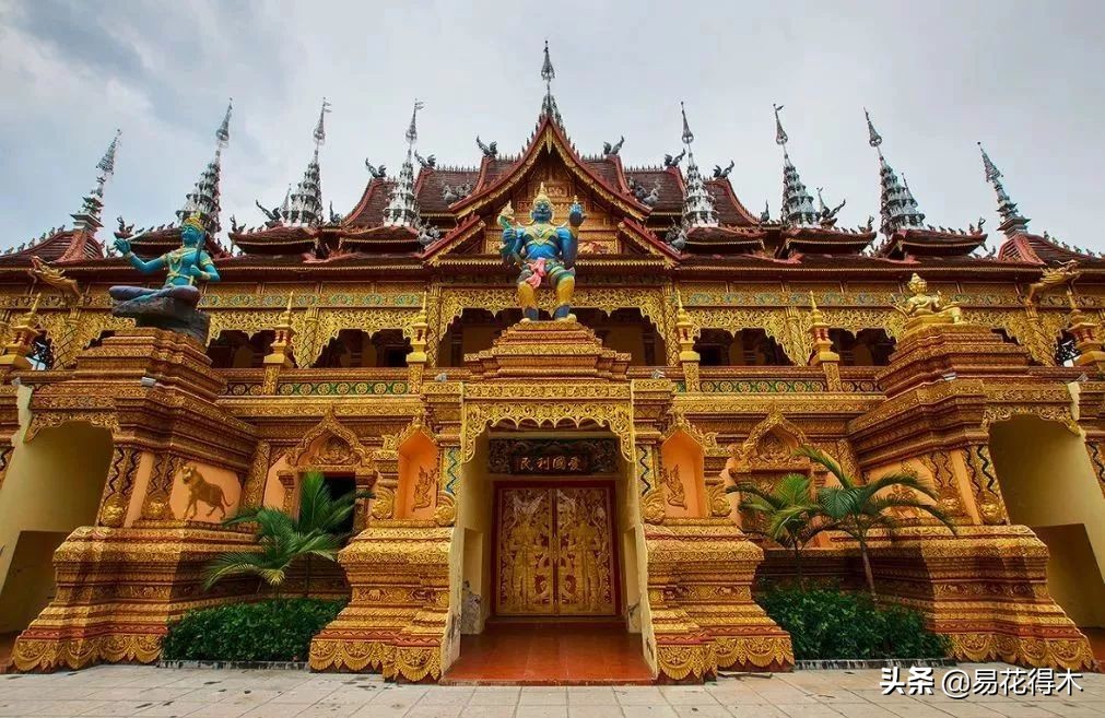 佛教的五树六花指的是什么,佛教五树六花是哪些植物