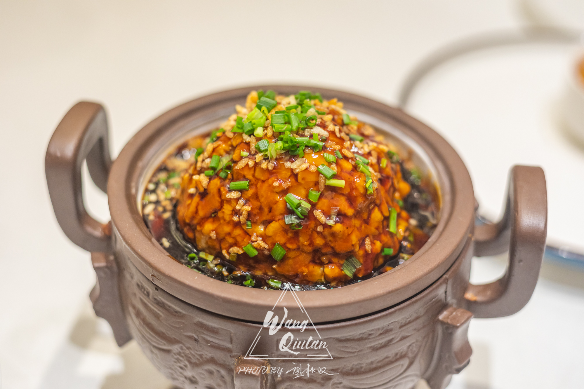 文思豆腐淮扬菜刀功精细,淮扬菜大师扬州炒饭做法