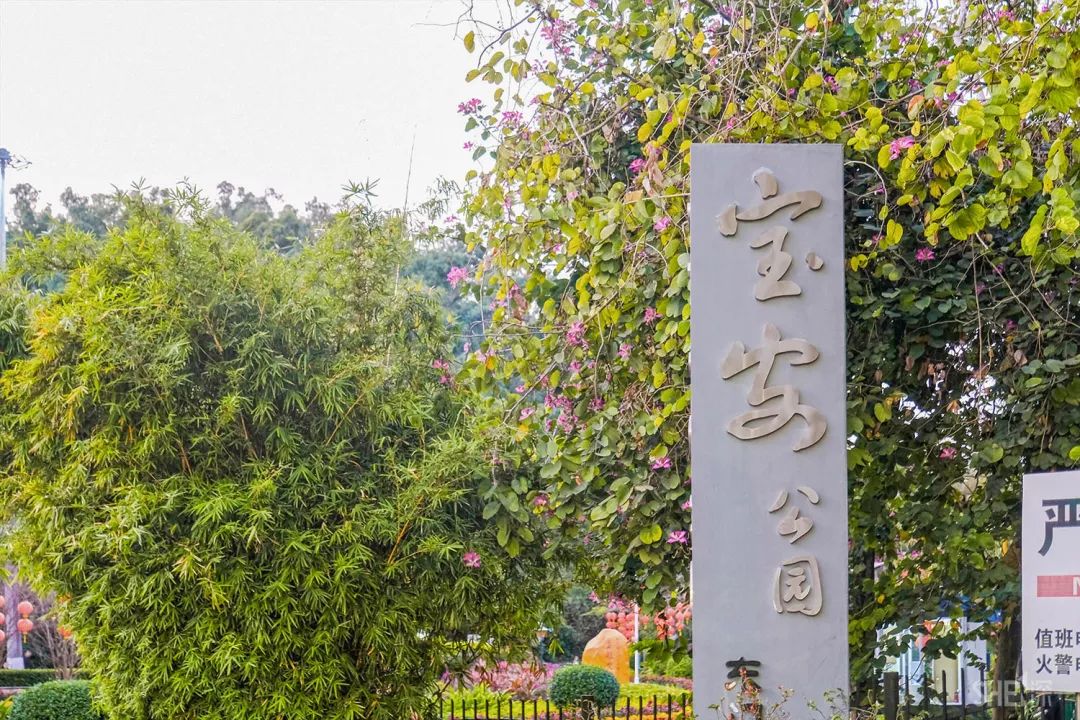 鍘夊浜嗘垜鐨勫ぇ瑗垮畨,鍘夊浜嗘垜鐨勫ぇ鑸熷北