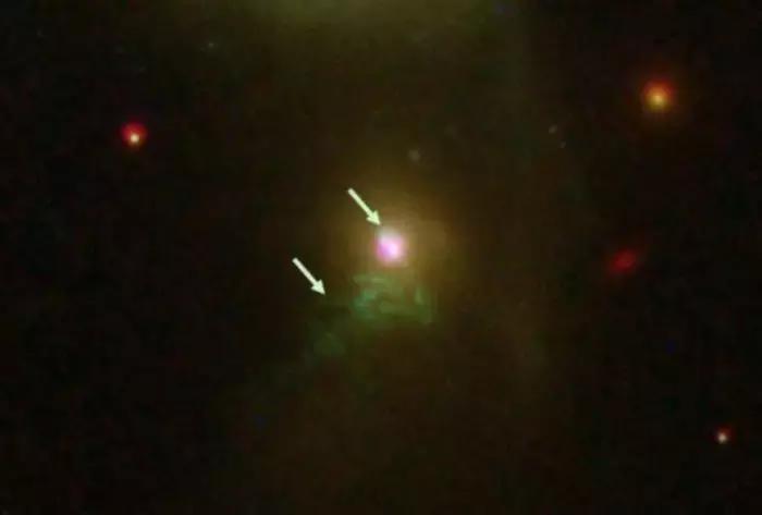 榛戞礊楗悗鎵撳棟,榛戞礊鎵撳棟