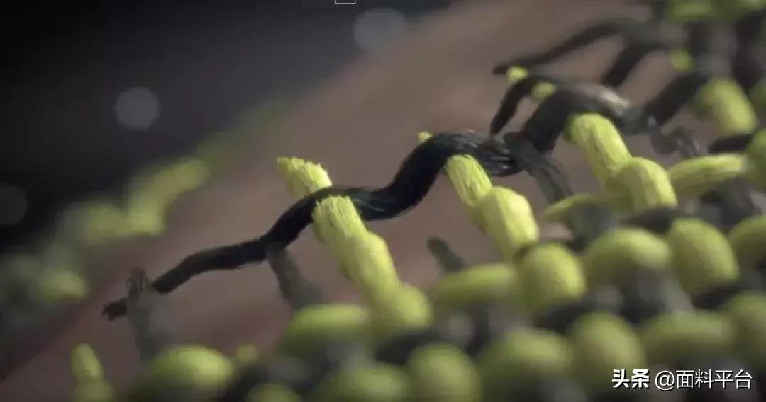 nike女子运动内衣,nike女性运动内衣