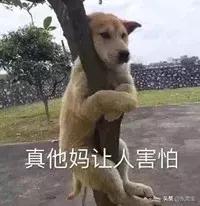 劲爆可口可乐,可口可乐新口味酸