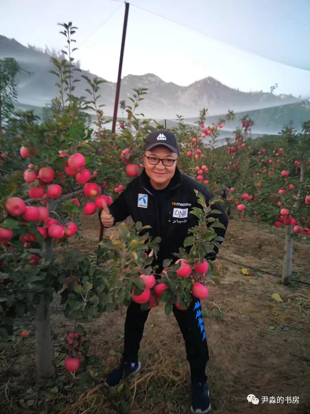 种苹果籽的人,种李子的人