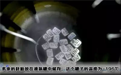 做试管婴儿的全场视频,揭秘试管婴儿的全过程