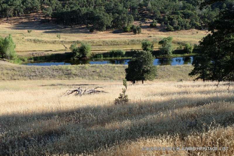 第3045回：人生一世草生一春，来如风雨去似微尘