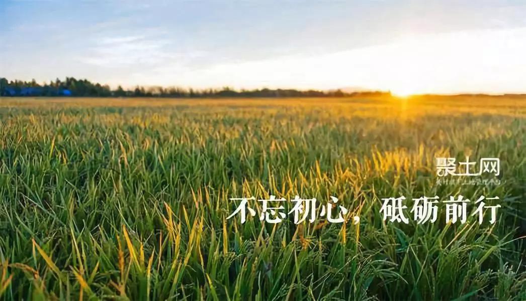 农业托管的新模式,农业托管的十种模式