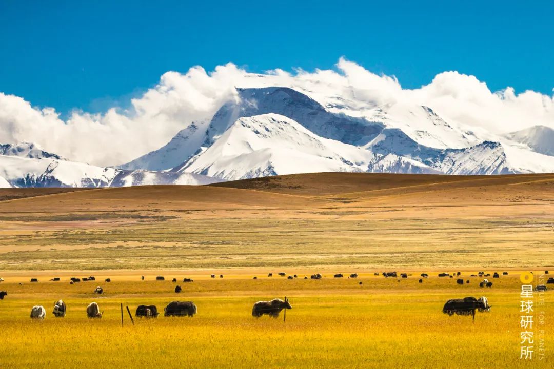 伟大的喜马拉雅山歌曲,喜马拉雅山脉全景图片及山名