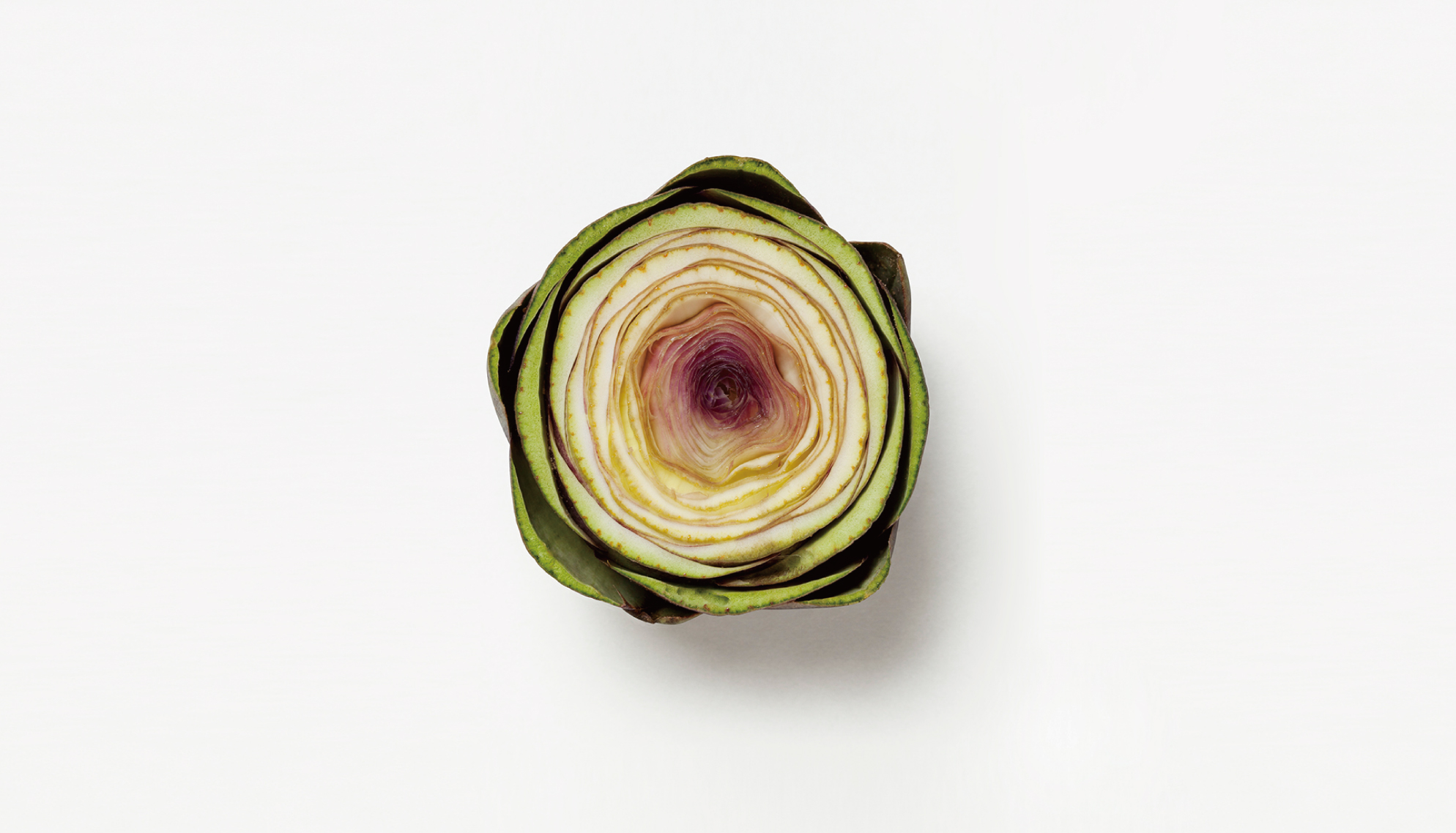 ballet芭蕾2020,balletcore芭蕾风单品