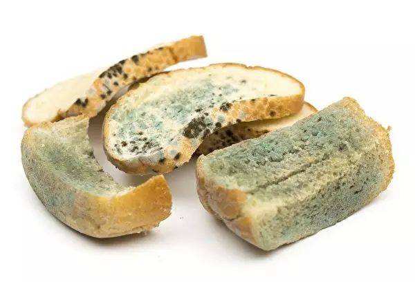 谁说发霉的东西就一定不可以吃，那只是你不了解而已！