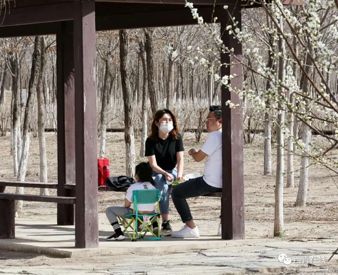 天津西青郊野公园开放最新通知,天津临港亲海公园什么时候开放