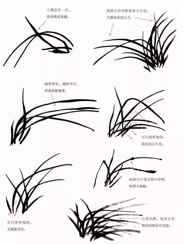 国画兰花绘画图,简单国画兰花画法教程