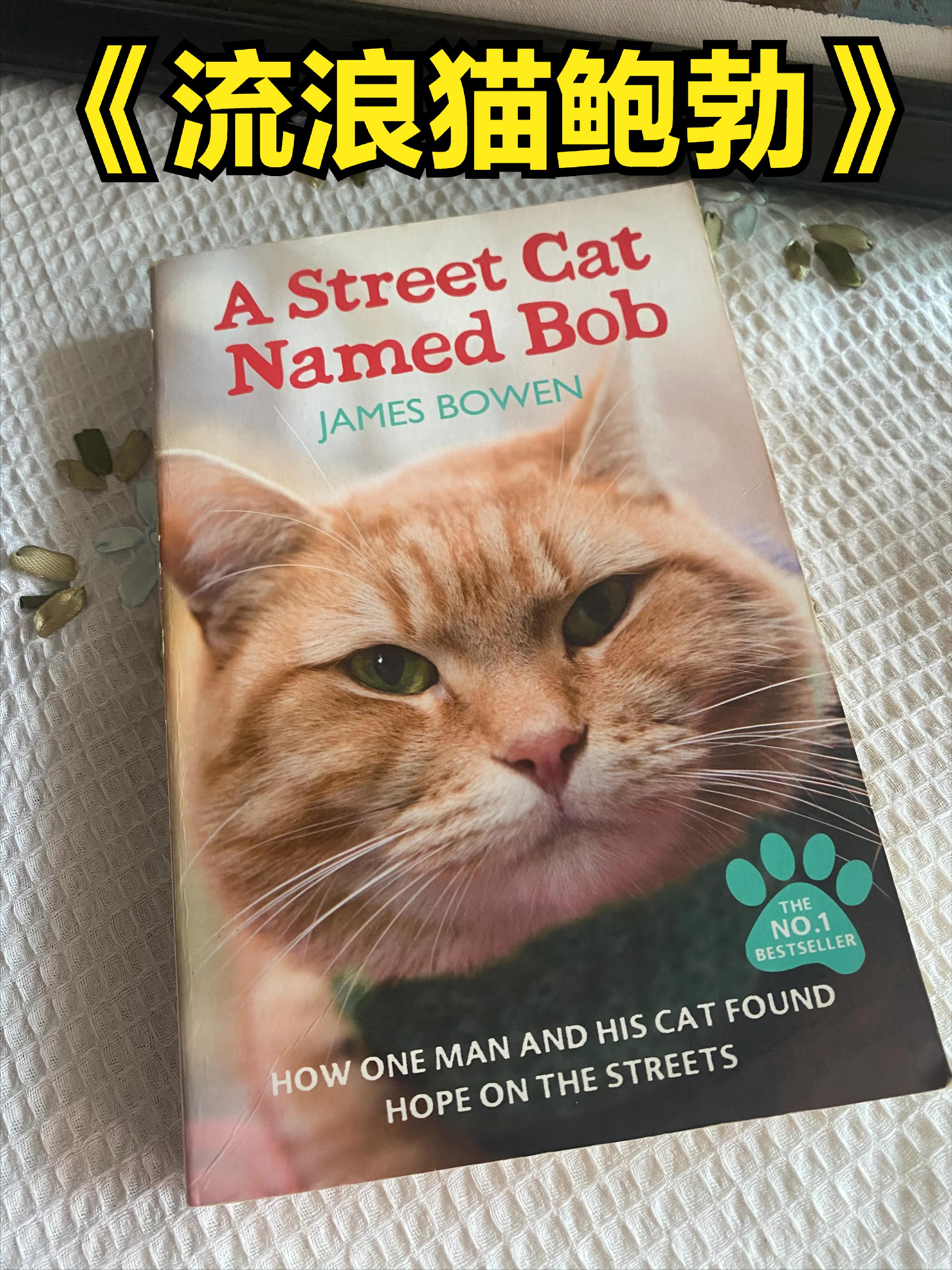 流浪猫鲍勃英文书经典句子双语,流浪猫鲍勃英文版小说难吗