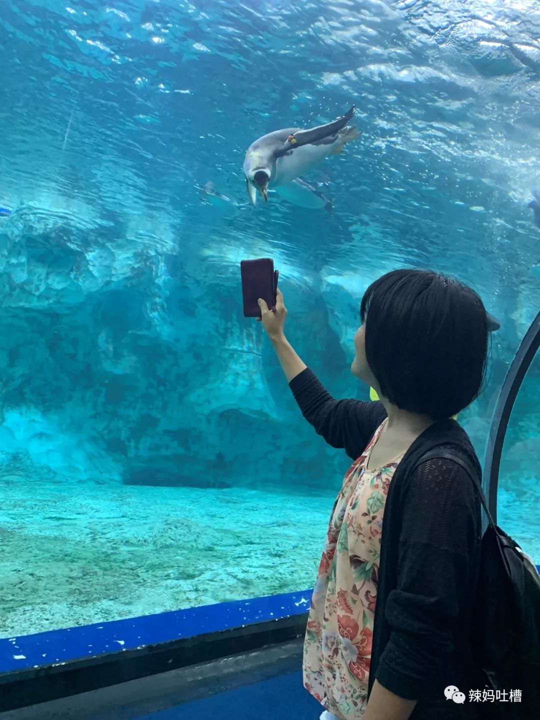 珠海长隆企鹅海洋王国攻略,珠海长隆海洋王国攻略2天亲子游