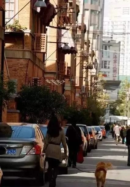 静安穿堂风别墅,静安别墅之光