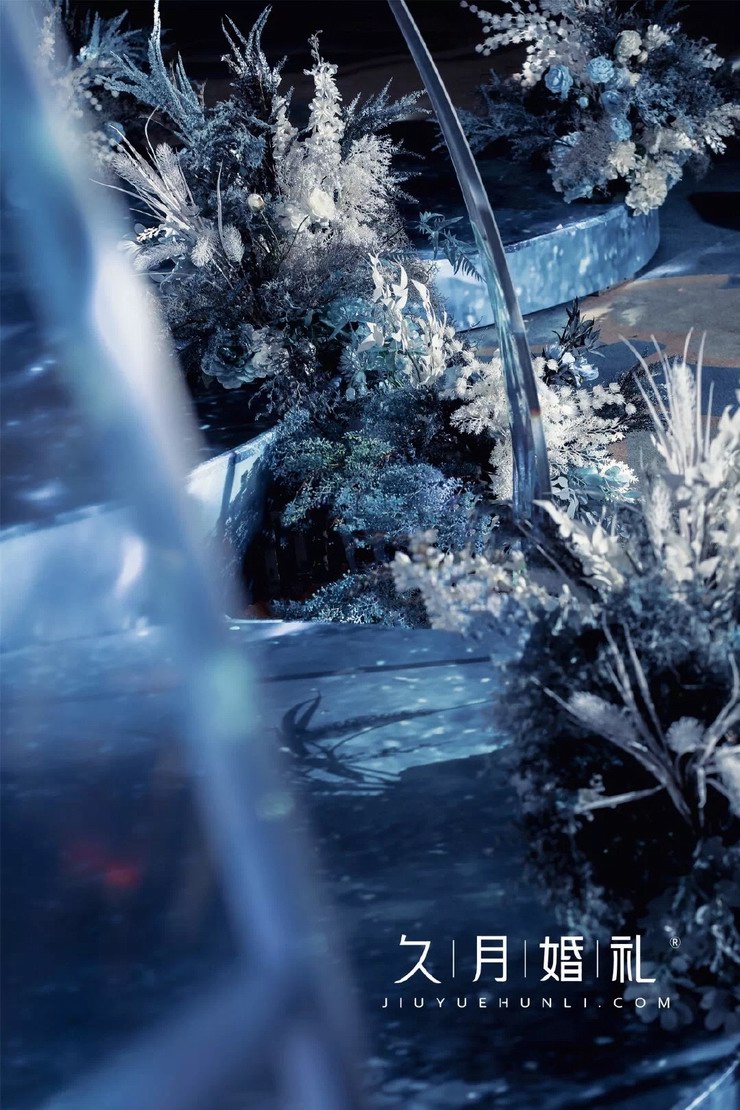 南京久月婚礼策划案例,dodowed婚礼案例