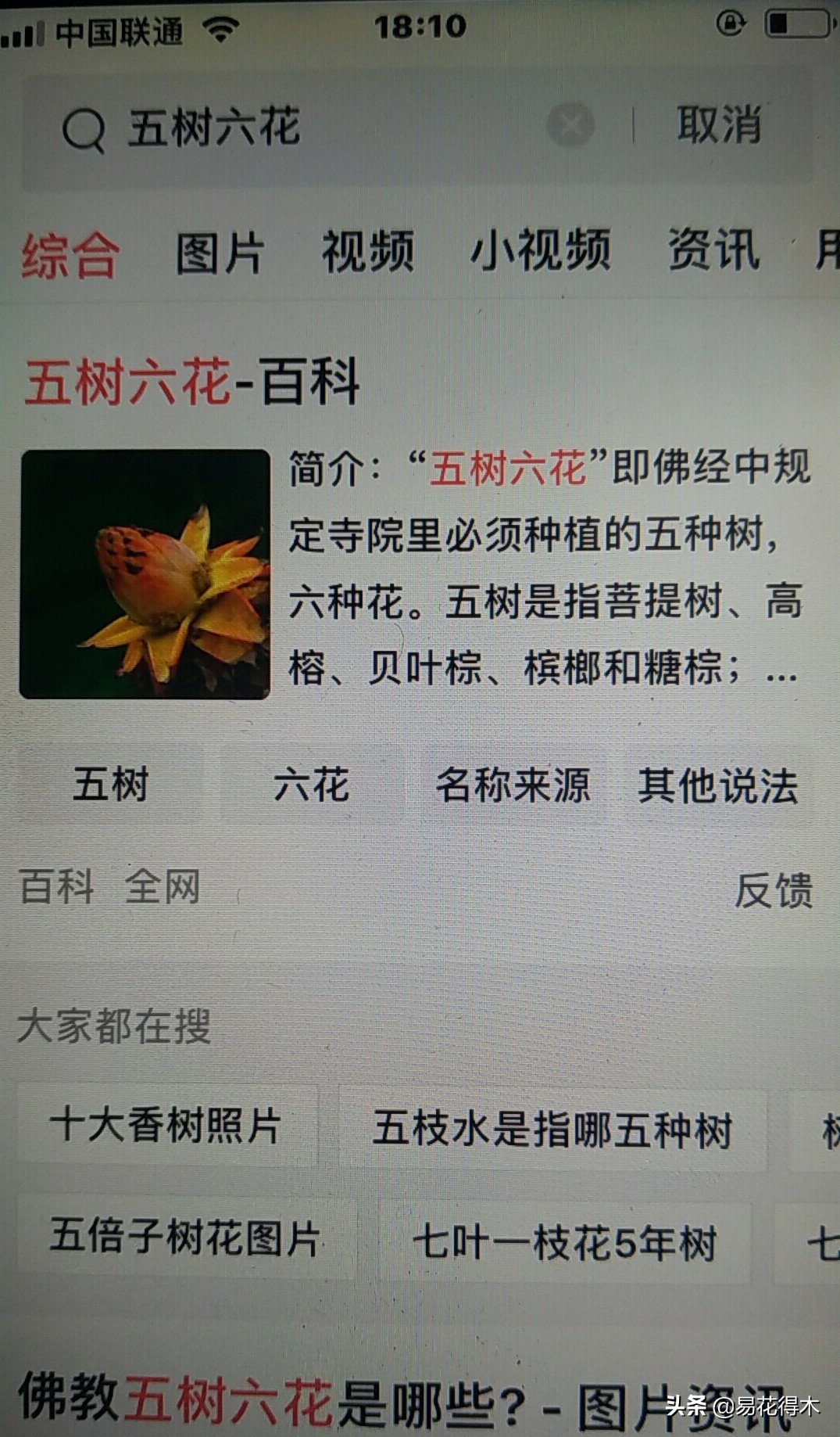 佛教的五树六花指的是什么,佛教五树六花是哪些植物