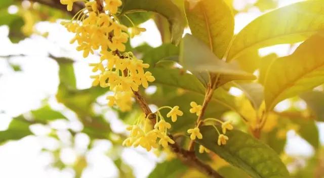 老人再婚的几点忠告,如何对待老年人再婚问题