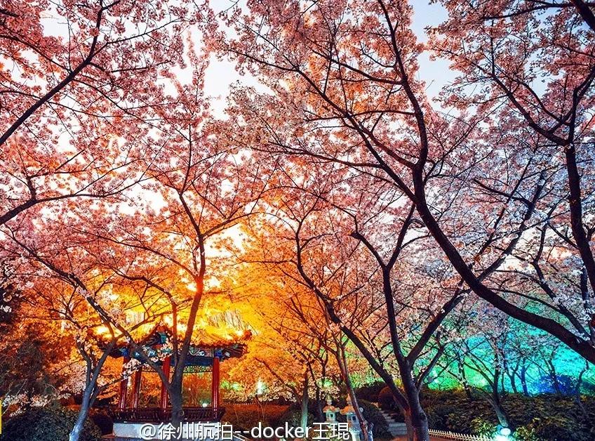 徐州清明假期旅游攻略,徐州春天去哪里旅游好