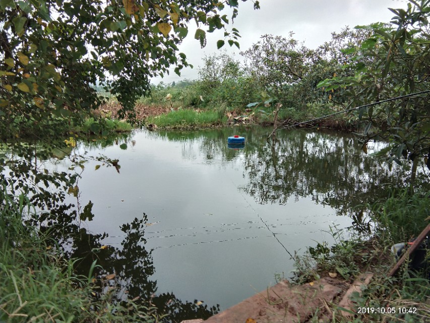 向往田园生活唯美诗句,向往的田园生活的感悟